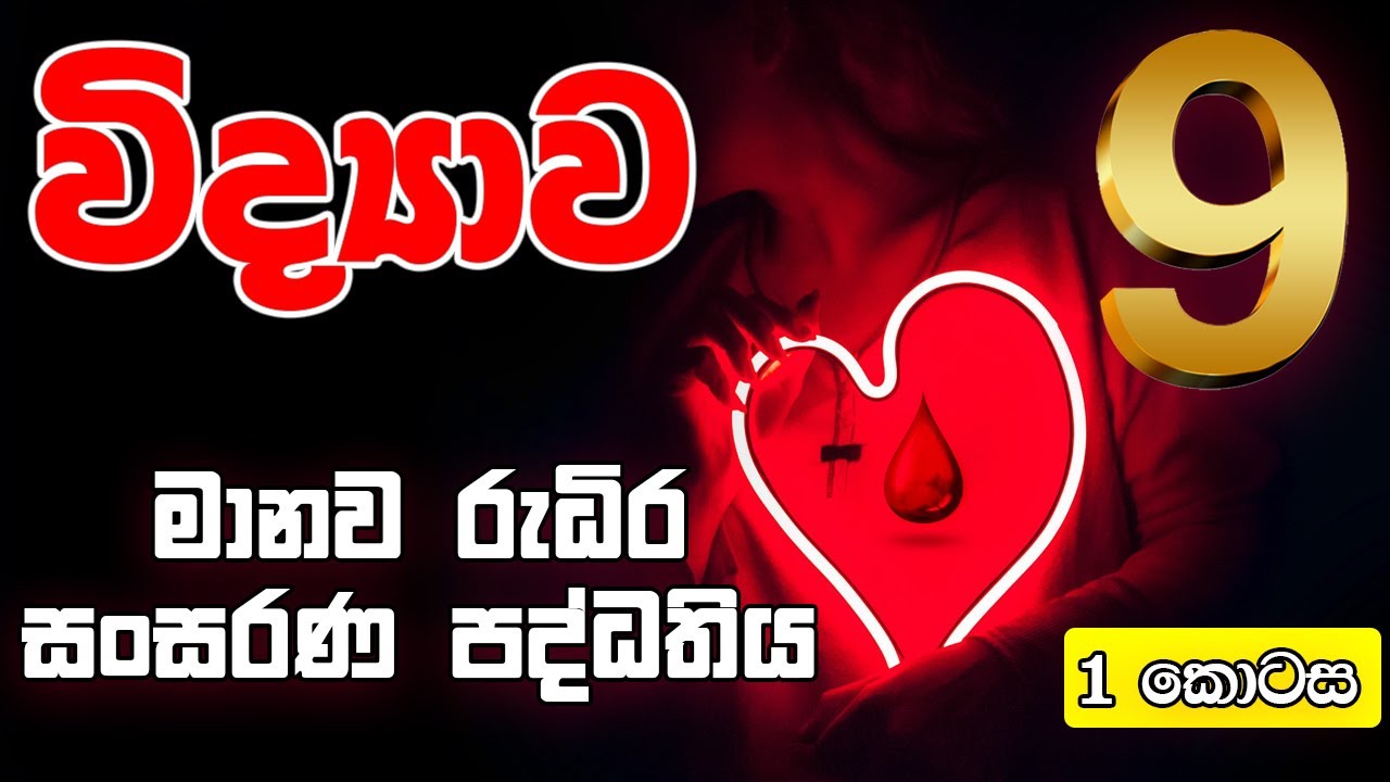 9 ශ්‍රේණිය විද්‍යාව  රුධිර සංසරණ පද්ධතිය |1 කොටස | Grade 9 Science | Human Circulatory System 💘