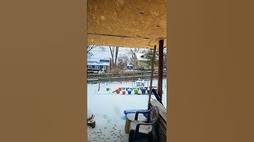 #snowfall #music #singer #newmusic