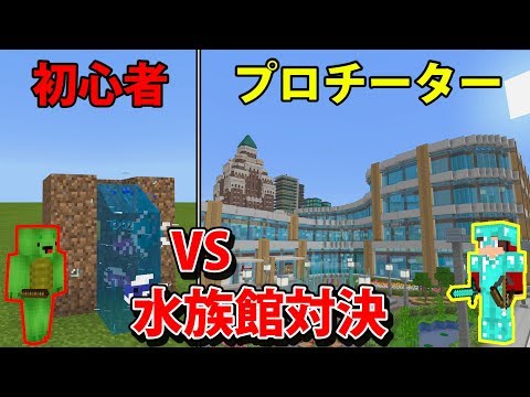 水族館作り対決 イルカショー 人食いサメ マインクラフト Youtube