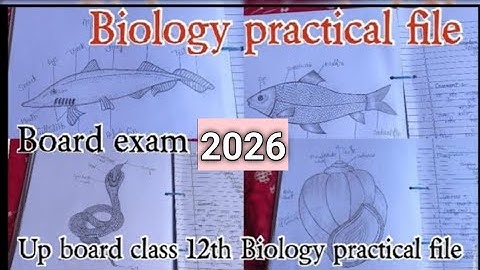 Up board Class 12th Biology ki file kaise likhe ||📒Up board exam 2026 ||Practical project 📁