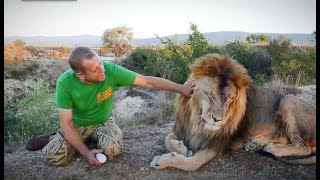 :          - ! How I treated the lion-leader!