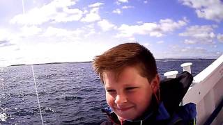 Farne Islands Boat Trip, Northumberland