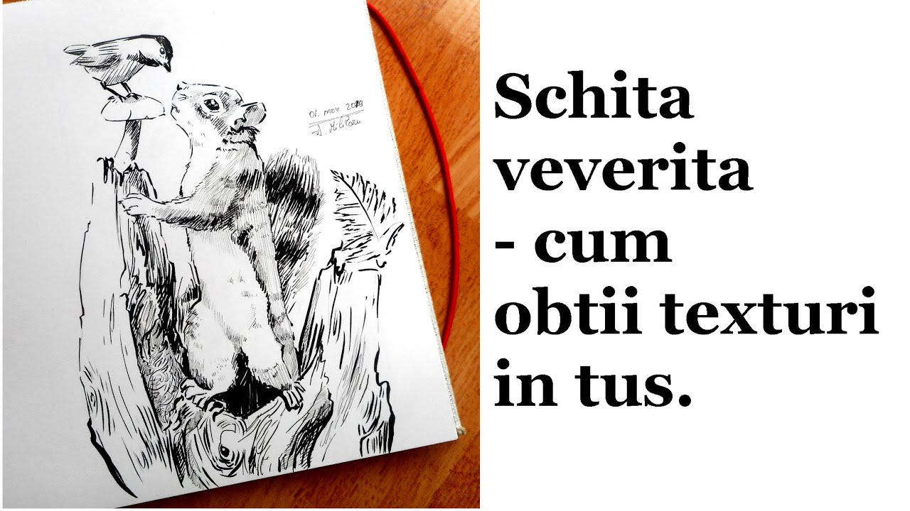 Schita Veverita Cum Obtii Texturi In Tus Aleg Sa Desenez