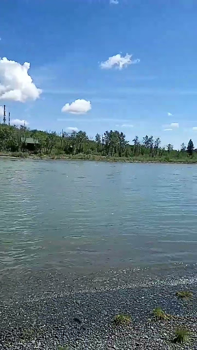 nothing better than this #alberta #nature #flyfishing #bowriver