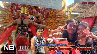 GANDRUNG DAWUK\u0026PAJU BARONG AGUNG WULANDARI||SEKAR SARI#jaranan#kesenian#barong