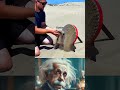 Things Actually Work: The Secret Physics of Everyday Objects! 🤯🔍"