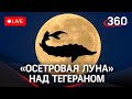 "Осетровая луна" в небе над Тегераном. Прямая трансляция полнолуния