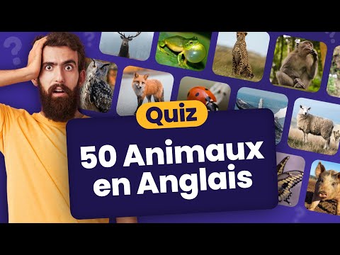 Connaissez-vous bien les bébés animaux ? Quiz Qui dit vrai ?