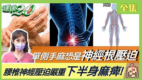 单侧手麻恐神经根压迫 下肢麻痛是脊髓病变！腰椎神经压迫比例高 严重下半身麻痺 健康2.0 20230401【完整版】 郑凯云 陈品元 花世源 许圣梅 郑云龙 @tvbshealth20 - 天天要闻