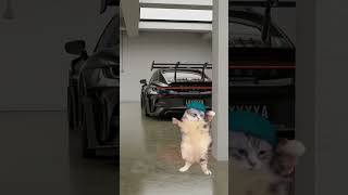 WA DADA DENG!!!#caredit #edit #shorts #wadada #foryou #fyp #fypシ #porche #4k