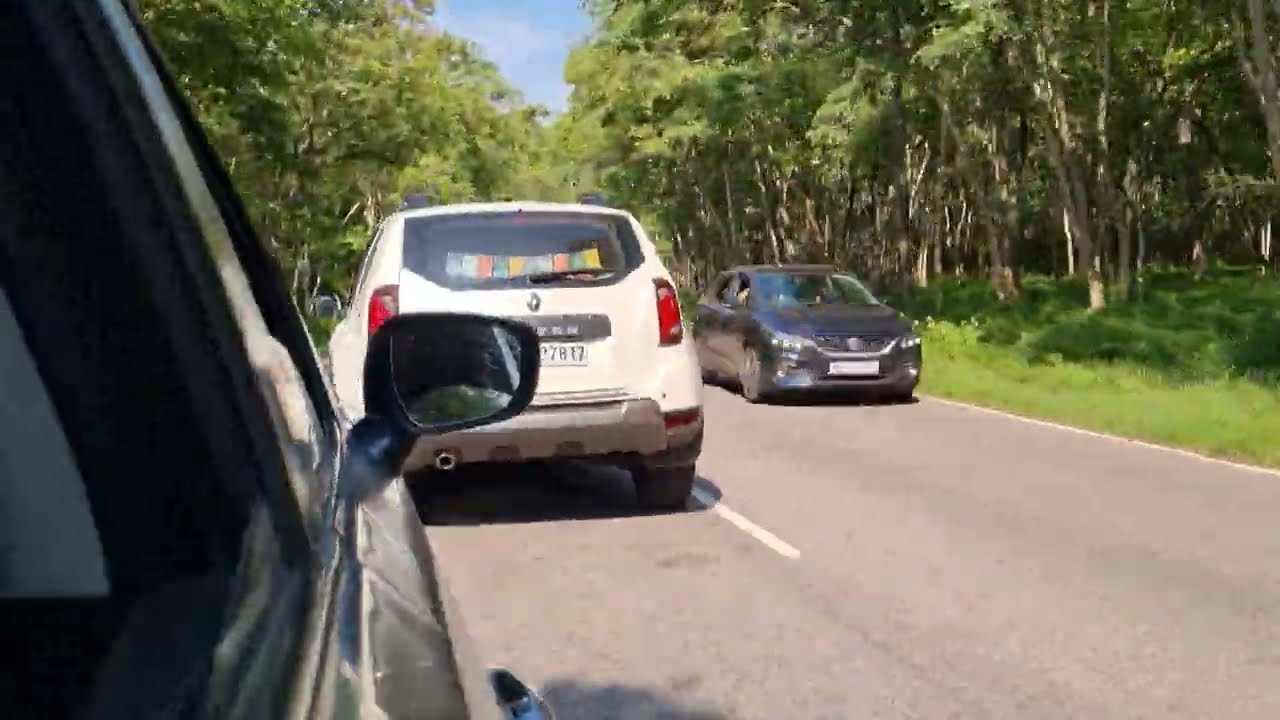 Road via Bandipur Tiger Reserve Forest | 4K Full Video | Karnataka, India