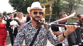 Dan Moisa \u0026 Radu Moș-Nuntă Mare la Bihor-Sosirea la casa miresei-Florin \u0026 Ioana-2025 🤠🎻📯💖🎵