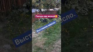 А завтра дожди☹️🌧☔️#выходные #прогулка #настроение #барахолка #свалка