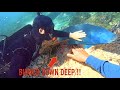 DEEP Water DIVER Finds Cash & Gold BURIED!! is that BAG Full of DRUGS??