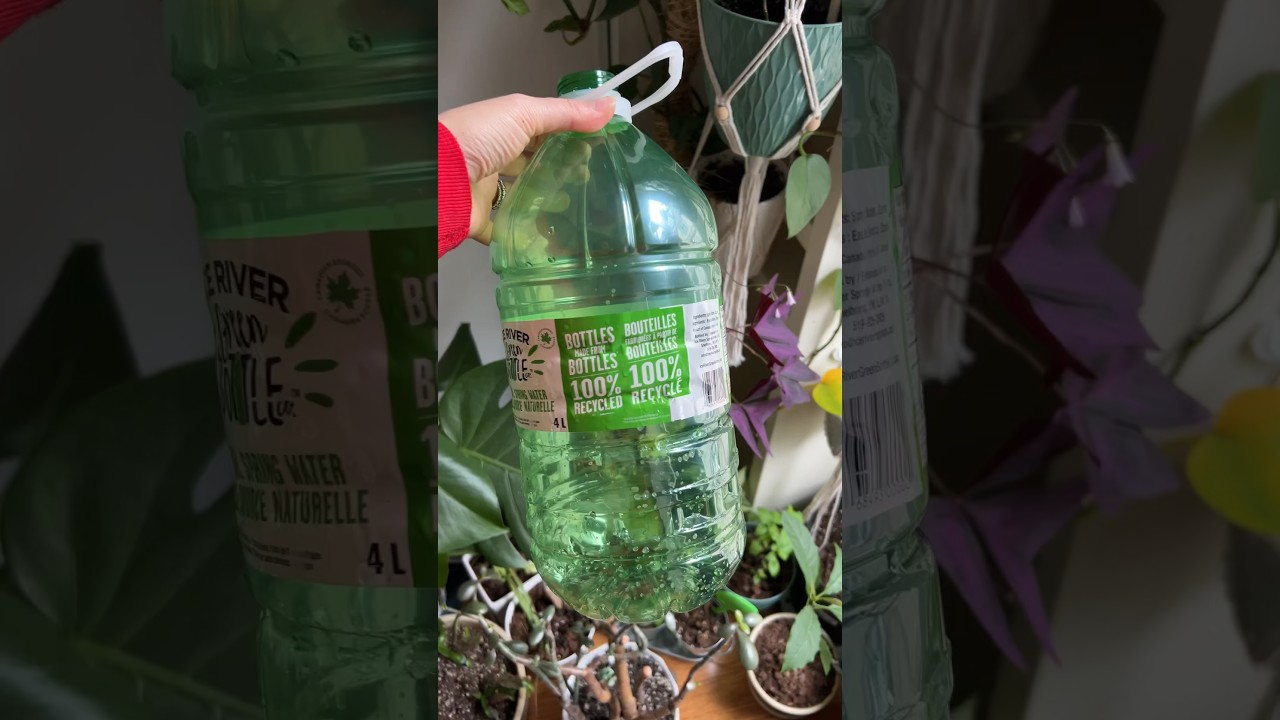 I’m Never Recycling Ever Again.