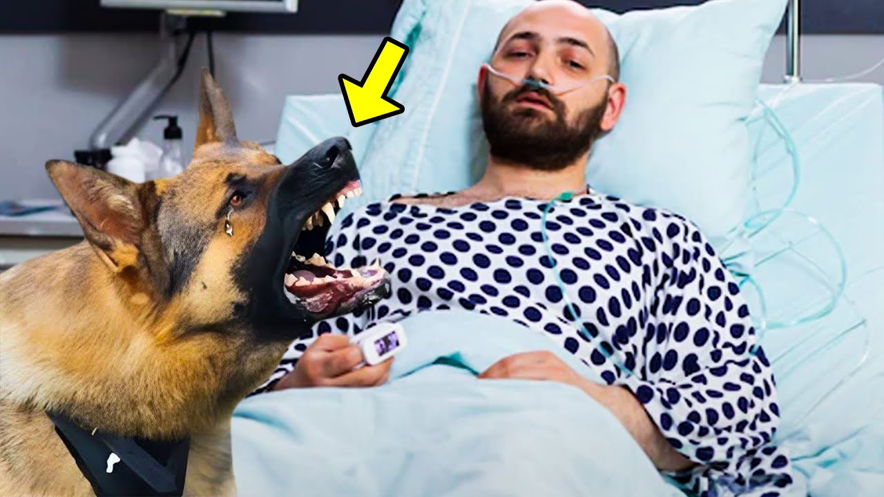 Dying Man Says Goodbye To His Heartbroken Dog. The Dog's Reaction is