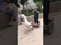 البطة البطة | duck duck 🦆
