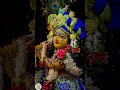 Hare Krishna 🙏 #iskcondesiretree