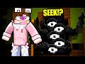 Hanno CREATO ROBLOX DOORS Di MINECRAFT
