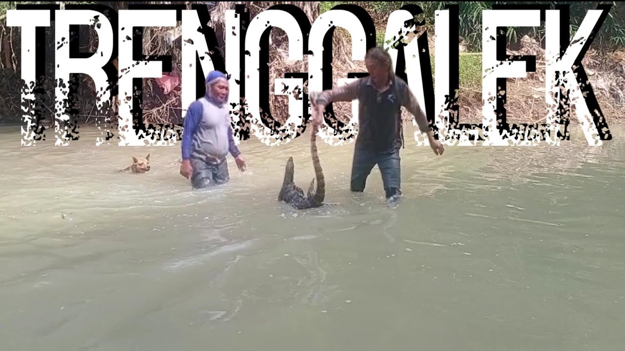 Berburu Biawak TRENGGALEK...Full Tonase