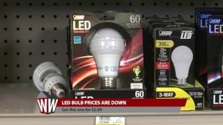 Ace 20 year LED Bulbs