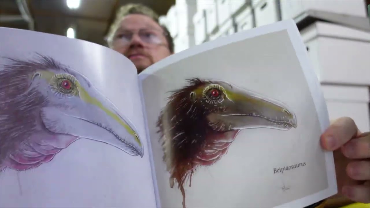 Original Art from Across the Decades