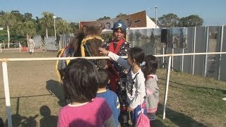 琉球競馬、７０年ぶり復活 沖縄・与那国馬