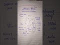 Humen heart diagram explain in simple way /Biology shorts🫀##heart diagram #Medical #biotec zone