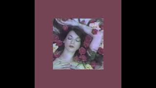 Download lagu Possibly In Michigan - Animal Cannibal (slowed, reverb)