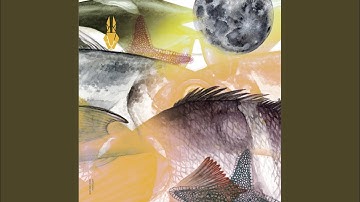 The Far Center (Original Mix)