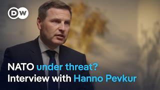 Drone warfare and NATO’s Eastern flank: Estonia's Hanno Pevkur on Baltic security  | DW News