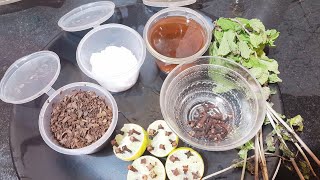 Best Natural Repellents To Get Rid Of Mosquitoes || Mosha Taranor Ghoroa Totka ||