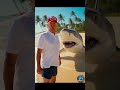 Donald Trump Roasts Talking Shark on Miami Beach 😂 "Go Back in Water!
