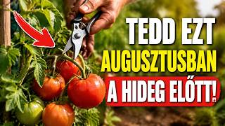 Minden, amit a bőséges termésért tudnod kell: Tedd EZT augusztusban a hideg előtt!