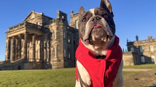 French Bulldogs Explore episode 22... Seaton Delaval Hall by Eric Charming 152 views 1 year ago 2 minutes, 37 seconds