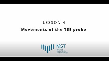 MST Masterclass - Lesson 04 - Movements of the TEE probe