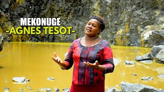 MEKONUGE BY AGNES TESOT 