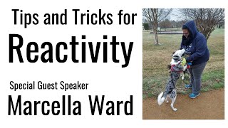 Tips and Tricks for Reactivity with Marcella Ward - Special Guest Speaker