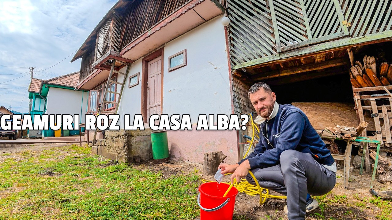 Sa ne APUCAM de CEALALTA CASA din CURTE? Cum arata acum...