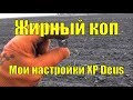 Жирный коп. Настройки XP Deus. В поисках золота UA!