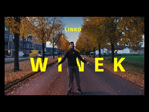Linko - Winek (solo take 2)