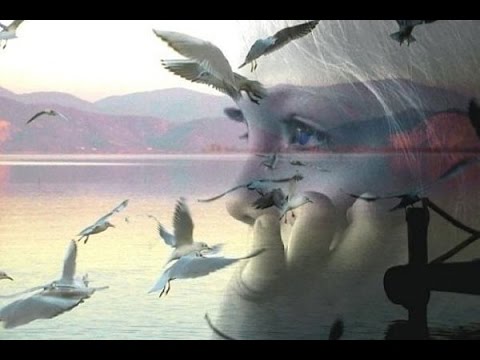 полуночный разговор о жизни и судьбе