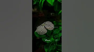 اذا المرء لم يرضى بما ربه وهب 