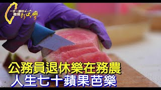 【彰化】綠皮紅肉少籽 公務員退休後樂在務農 成就美好晚年∣一步一腳印【人生七十新蘋果芭樂】20240512