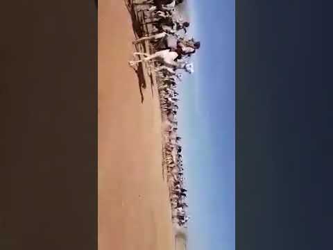 الفزع قبيلة دار حامد في الابل المسروقات