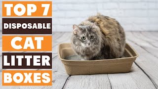 7 Best Disposable Cat Litter Boxes for a Cleaner Home