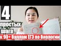 Подготовка к Егэ по биологии с нуля| егэ биология 2021