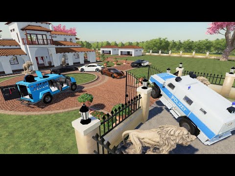 Police and swat