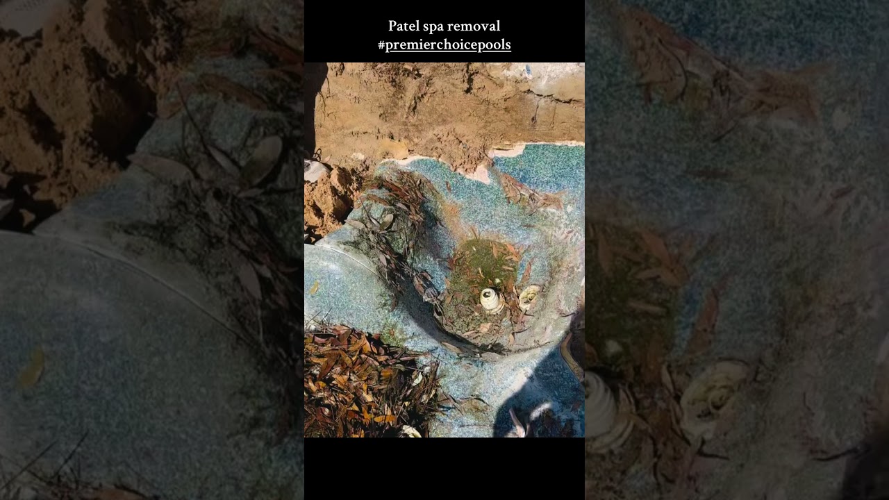 Patel spa removal 