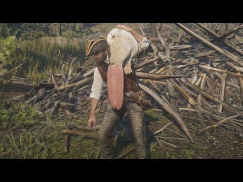 Талисман из зуба аллигатора rdr 2 не надевается